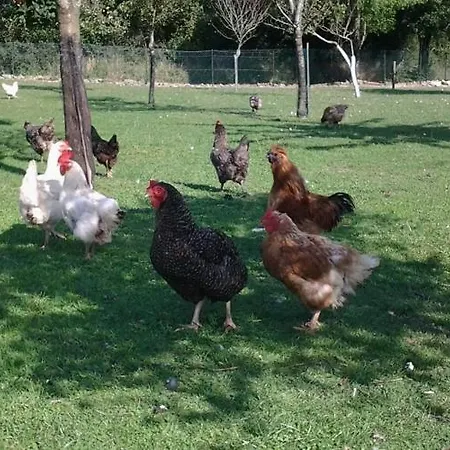 別荘 Le De L'aubray, Avec Piscine