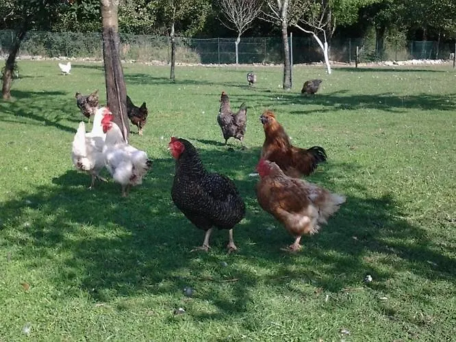 Hébergement de vacances Le De L'aubray, Avec Piscine